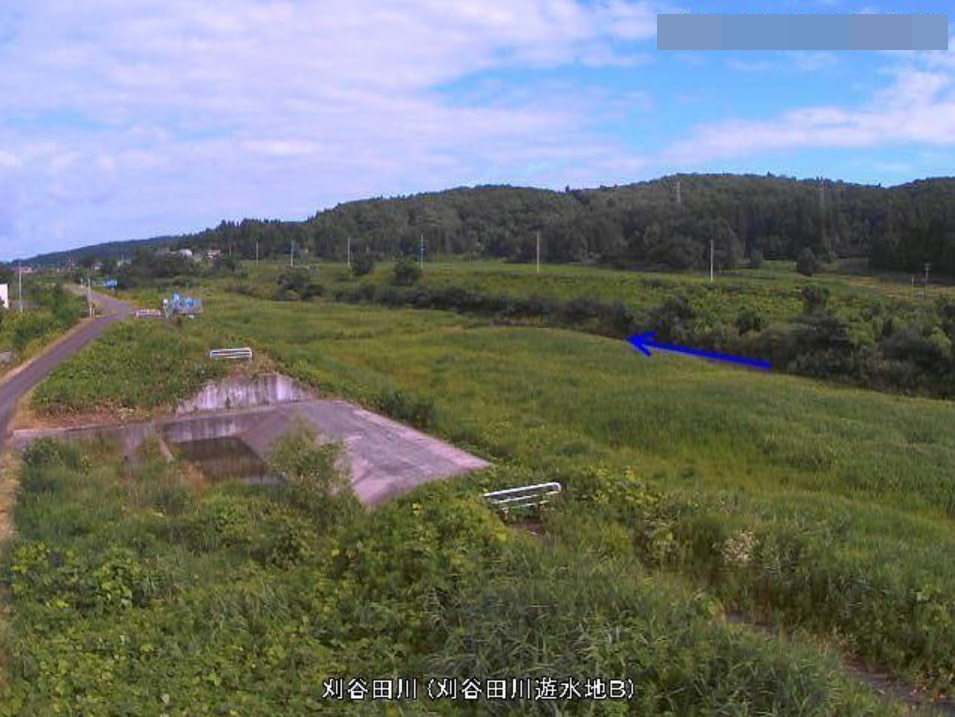 刈谷田川刈谷田川遊水地Bライブカメラ(新潟県見附市本明町)