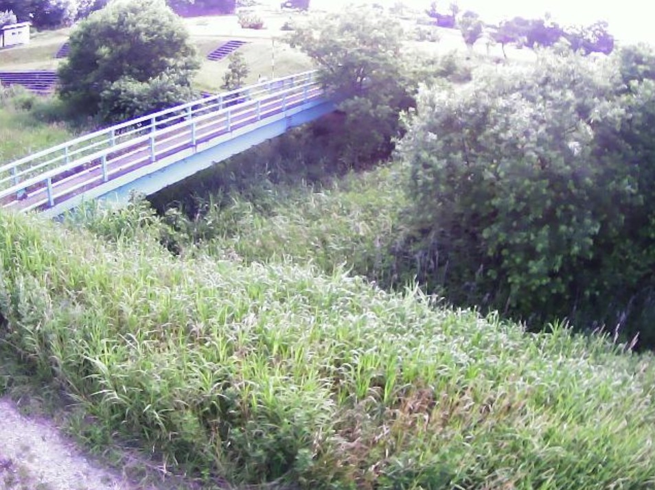 気仙川0.4KPライブカメラ(北海道伊達市南黄金町)