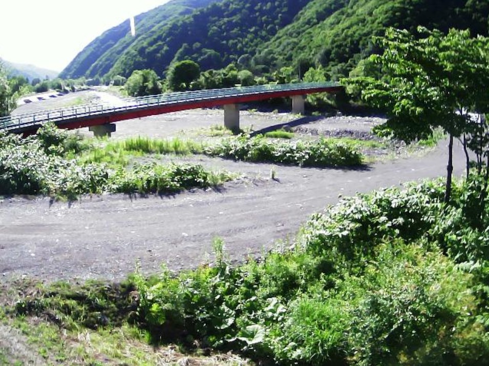 沙流川32.9KPライブカメラ(北海道平取町振内町)