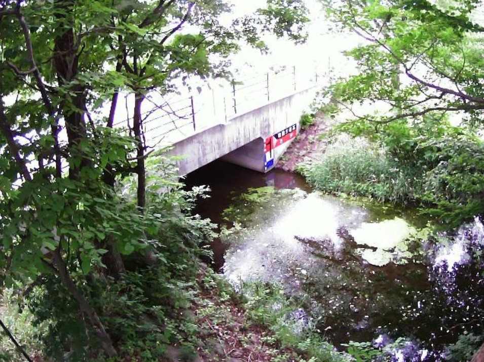 千住川2.8KPライブカメラ(北海道幕別町札内暁町)