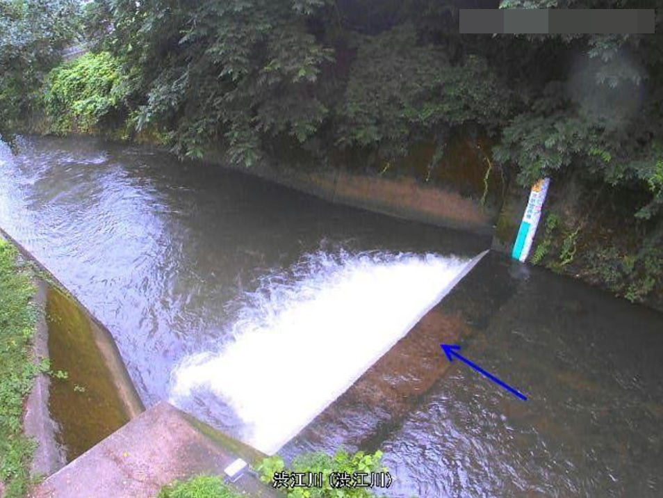 渋江川渋江川水位観測所ライブカメラ(新潟県妙高市渋江町)