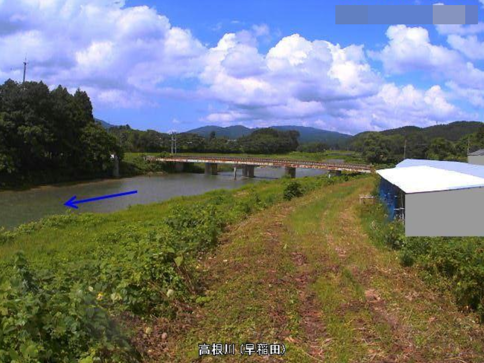 高根川早稲田ライブカメラ(新潟県村上市早稲田)