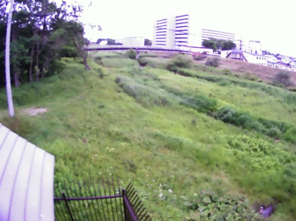 苫小牧川高丘ライブカメラ(北海道苫小牧市高丘)