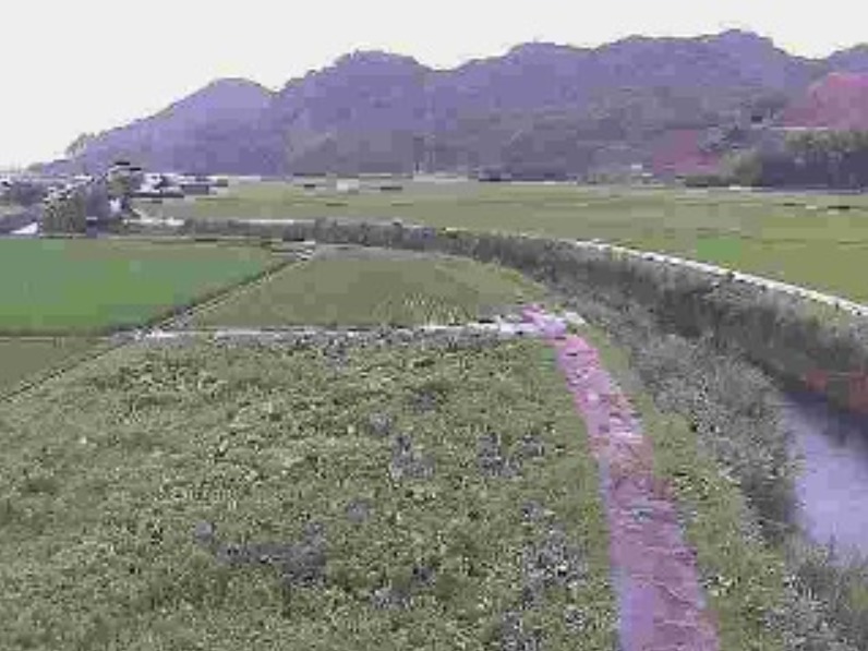 富高川年の神橋ライブカメラ(宮崎県日向市富高)