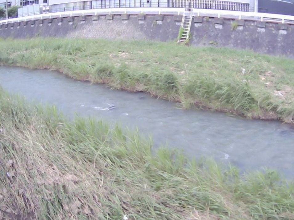 相川相川一之橋ライブカメラ(山梨県甲府市宝)