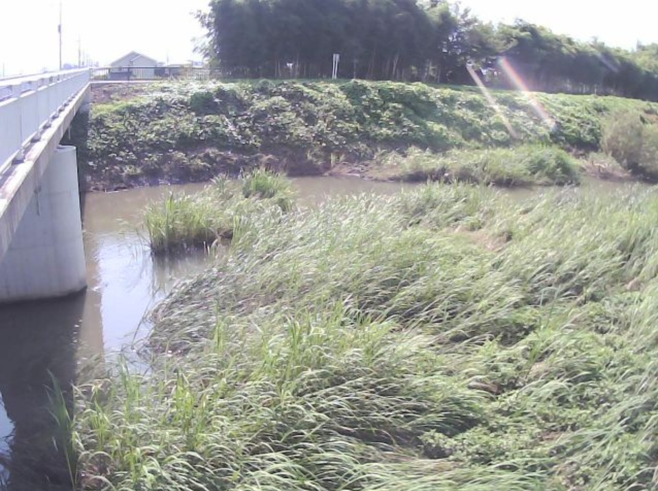 平等川新恵比寿歩道橋ライブカメラ(山梨県笛吹市石和町東油川)
