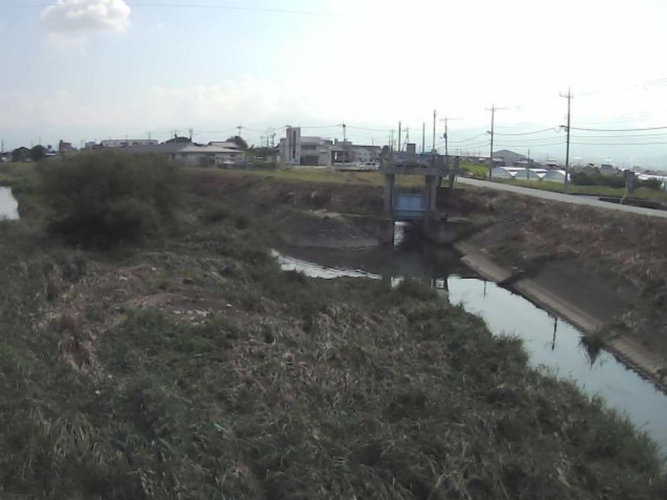 平等川梅之木橋ライブカメラ(山梨県笛吹市石和町東高橋)