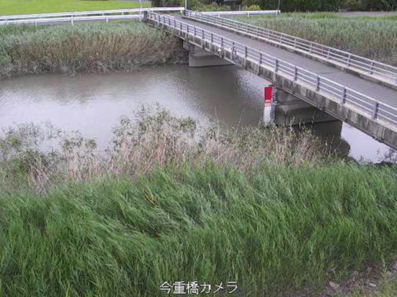 本庄江今重橋ライブカメラ(佐賀県佐賀市西与賀町厘外)