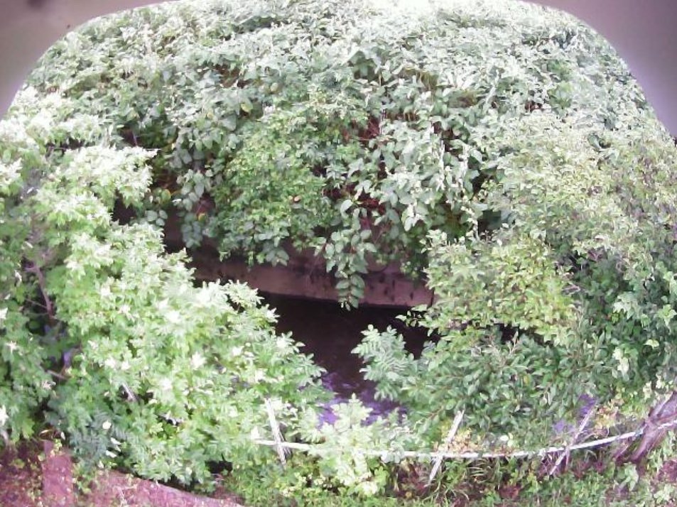 久根別川13.1KPライブカメラ(北海道七飯町峠下)