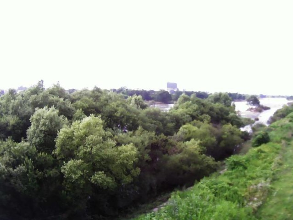 最上川日の出ライブカメラ(山形県長井市日の出町)