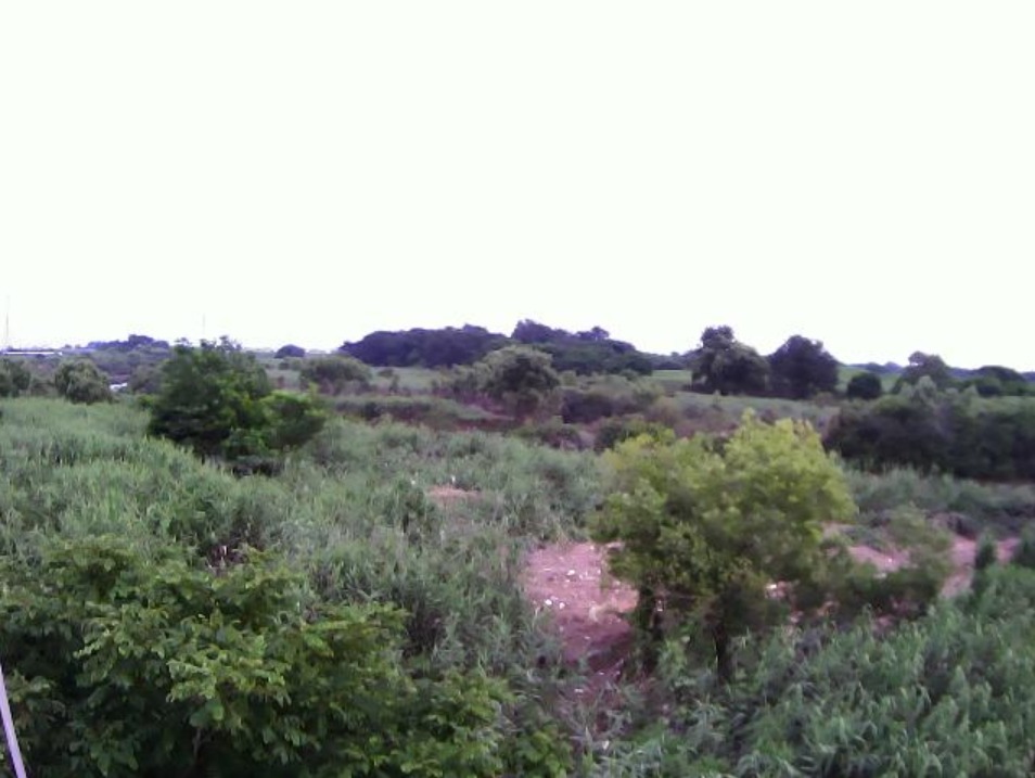 最上川梨郷ライブカメラ(山形県南陽市梨郷)