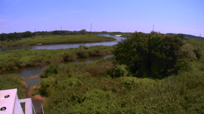那珂川20.5KP右岸ライブカメラ(茨城県水戸市飯富町)