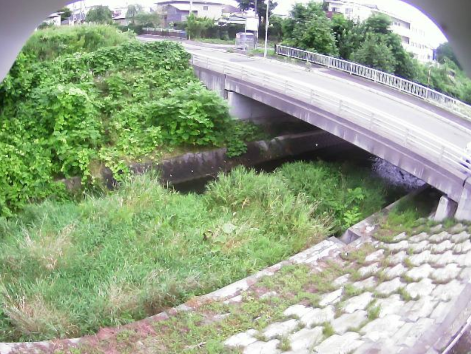 蒜沢川3.5KPライブカメラ(北海道七飯町大川)