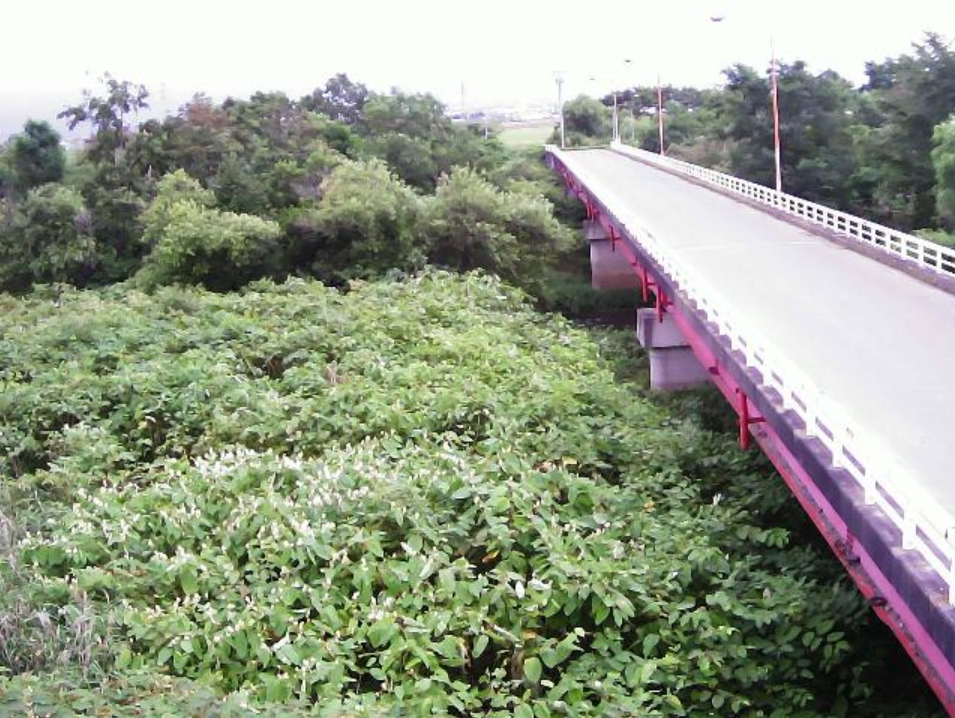 大野川4.4KPライブカメラ(北海道北斗市千代田)