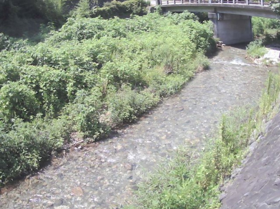 滝戸川滝川橋ライブカメラ(山梨県甲府市中畑町)