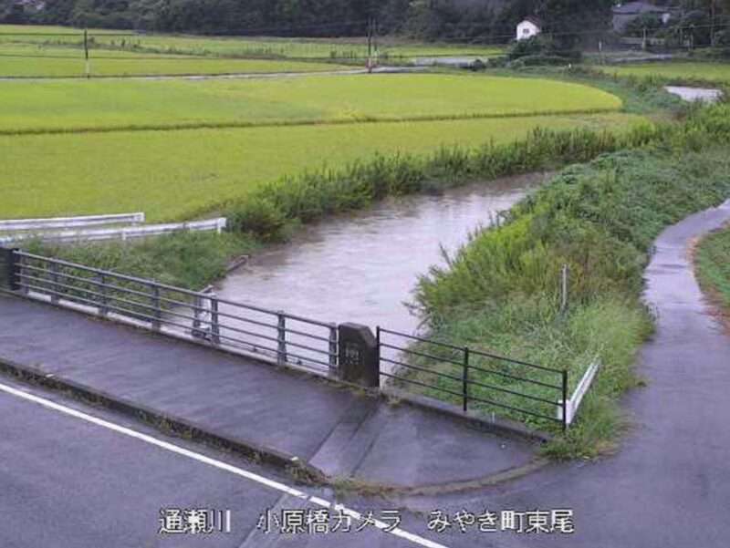 2025年10月4日16時10分 大雨河川増水時 氾濫危険水位