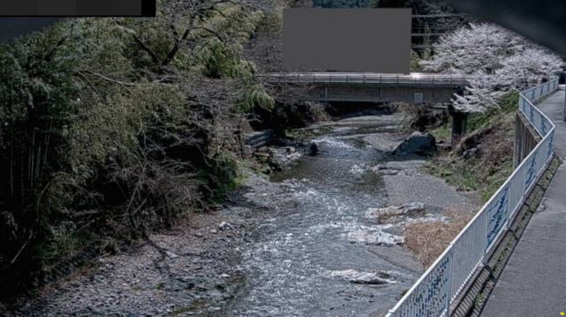 入間川石原橋観測局ライブカメラ(埼玉県飯能市原市場)