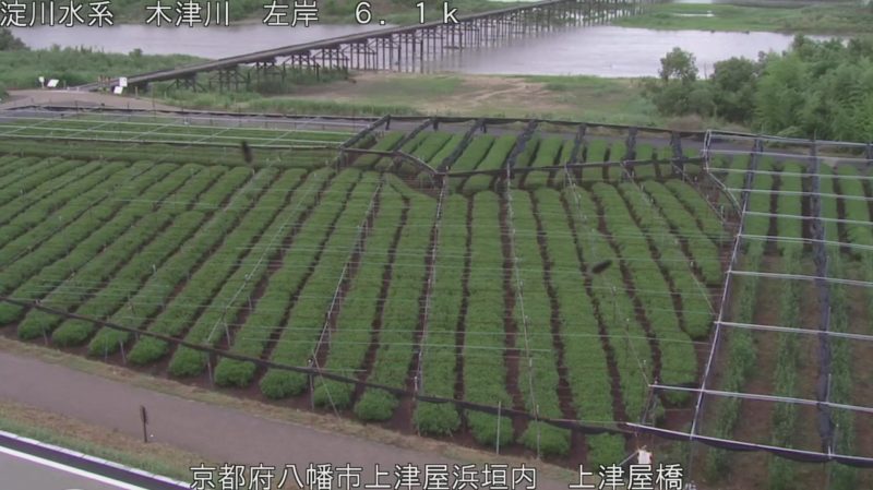 近畿地方整備局木津川上津屋橋ライブカメラ(京都府八幡市上津屋浜垣内)