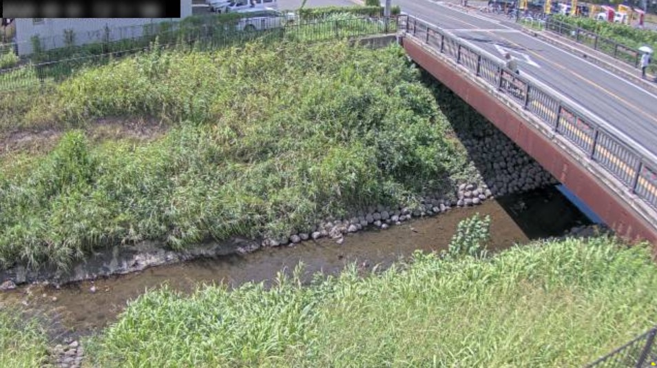 鴻沼川下落合観測局ライブカメラ(埼玉県さいたま市中央区)