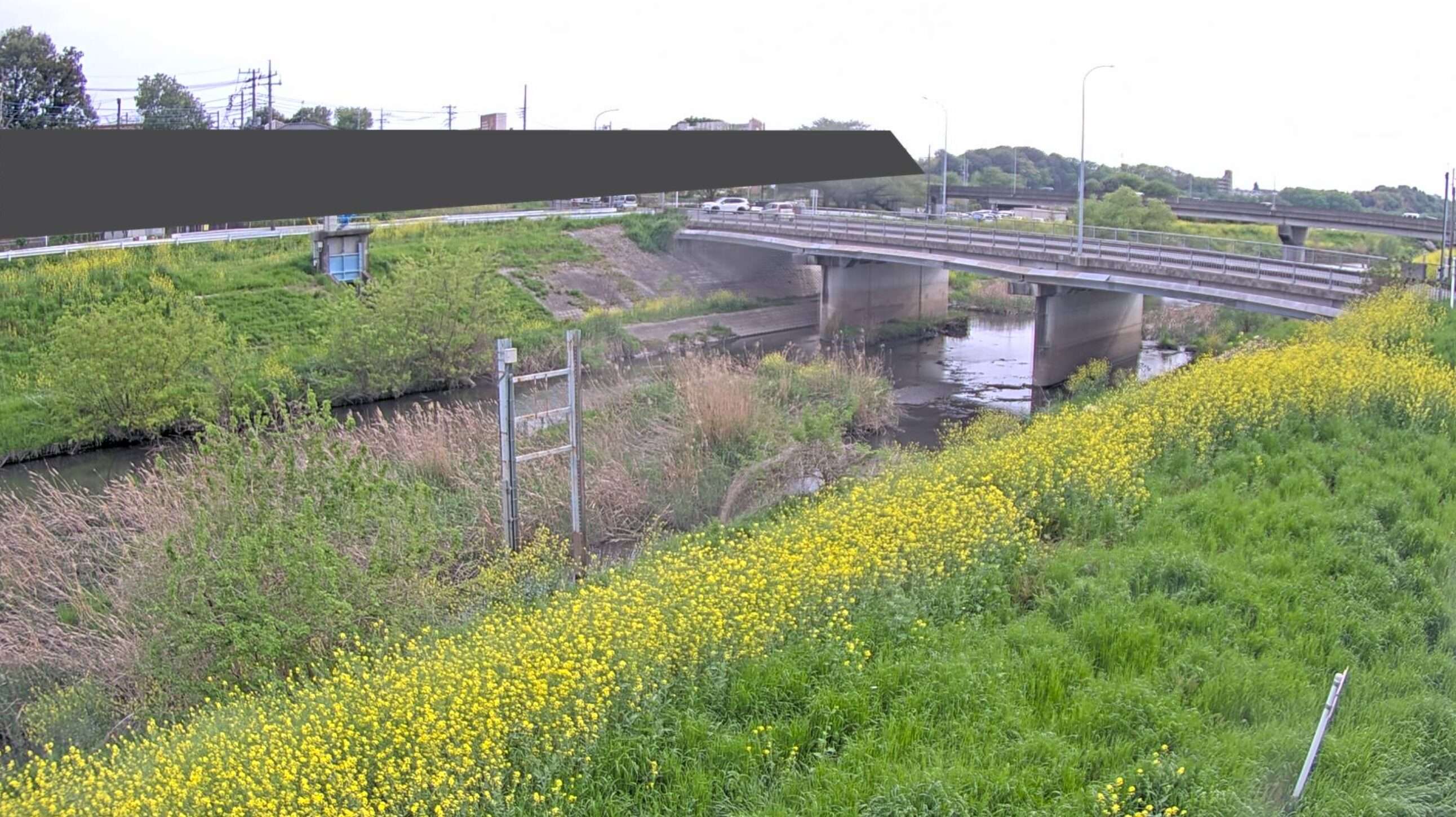 芝川大道橋観測局ライブカメラ(埼玉県さいたま市緑区)