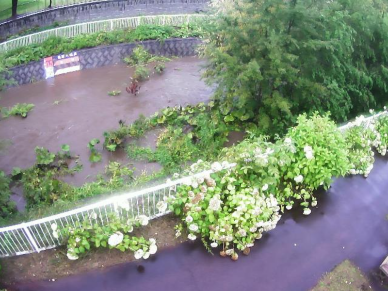精進川5.3KPライブカメラ(北海道札幌市南区澄川) 2026年9月28日15時10分 大雨増水時