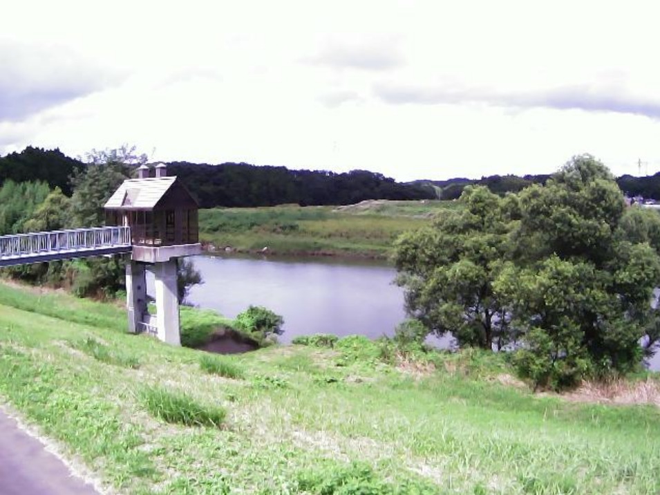 阿武隈川日和田町八丁目向市坪ライブカメラ(福島県郡山市日和田町八丁目向市坪)