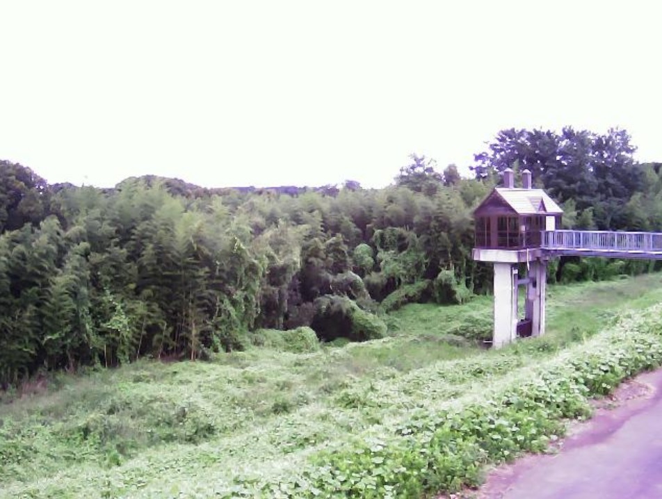 阿武隈川日和田町梅沢斉崎ライブカメラ(福島県郡山市日和田町梅沢)