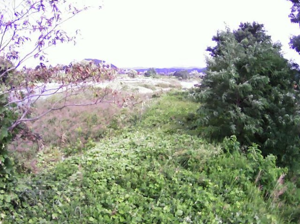 荒川仁井田三日堀向ライブカメラ(福島県福島市仁井田)