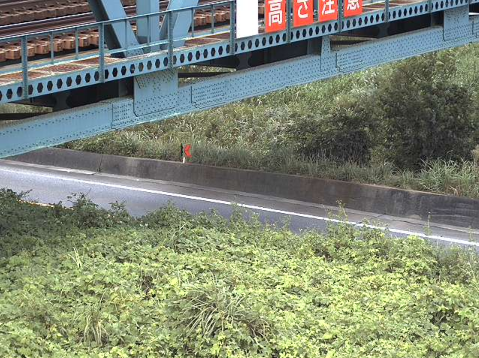 岐阜県道261号脛永万石線新開町アンダーパス南側ライブカメラ(岐阜県大垣市新開町)