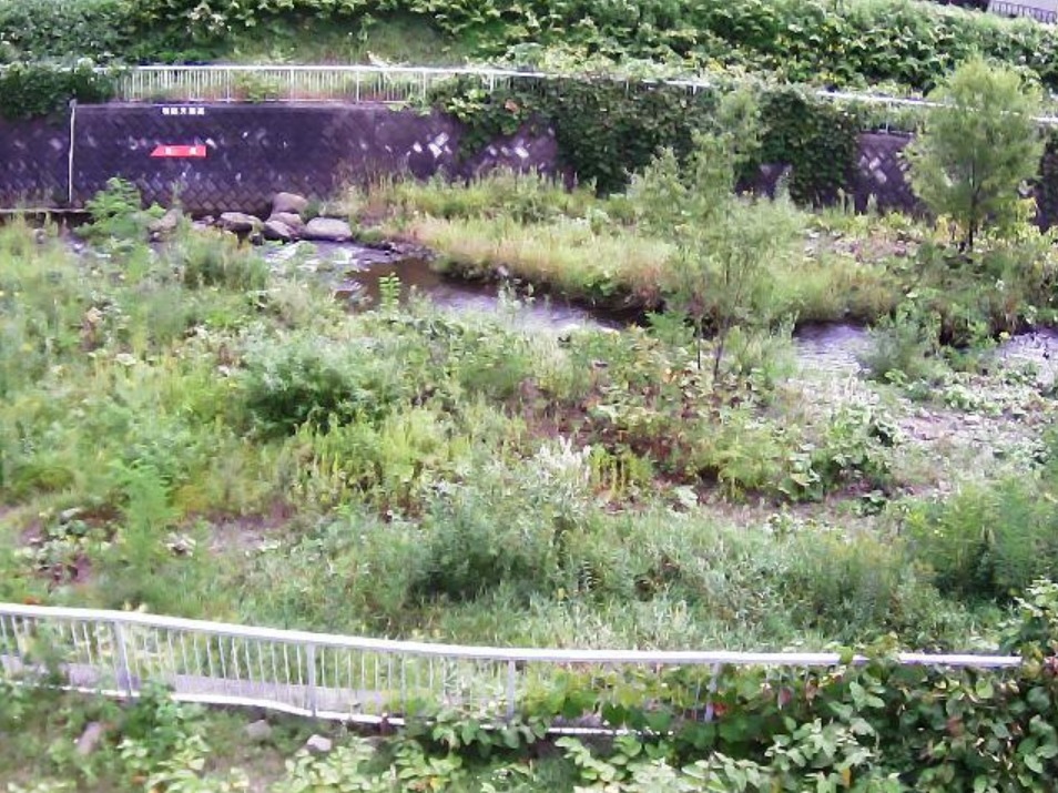 左股川1.8KPライブカメラ(北海道札幌市西区)