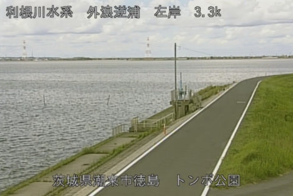 霞ヶ浦外浪逆浦トンボ公園ライブカメラ(茨城県潮来市徳島)