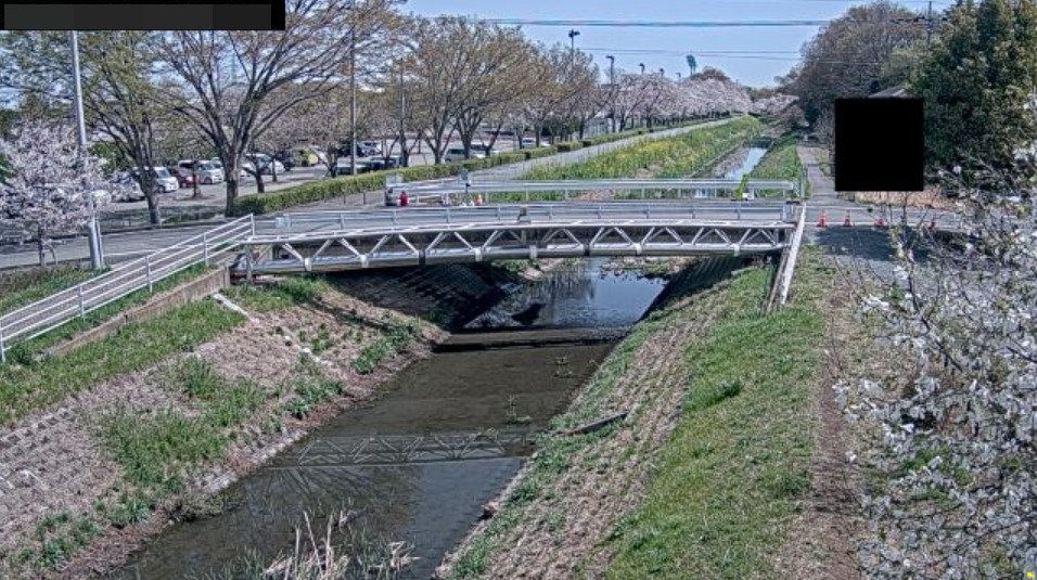 元小山川湧泉橋観測局ライブカメラ(埼玉県本庄市小島)