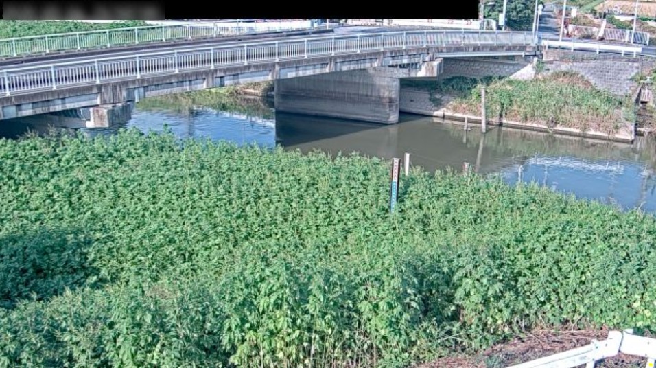 中川船渡観測局ライブカメラ(埼玉県杉戸町椿)