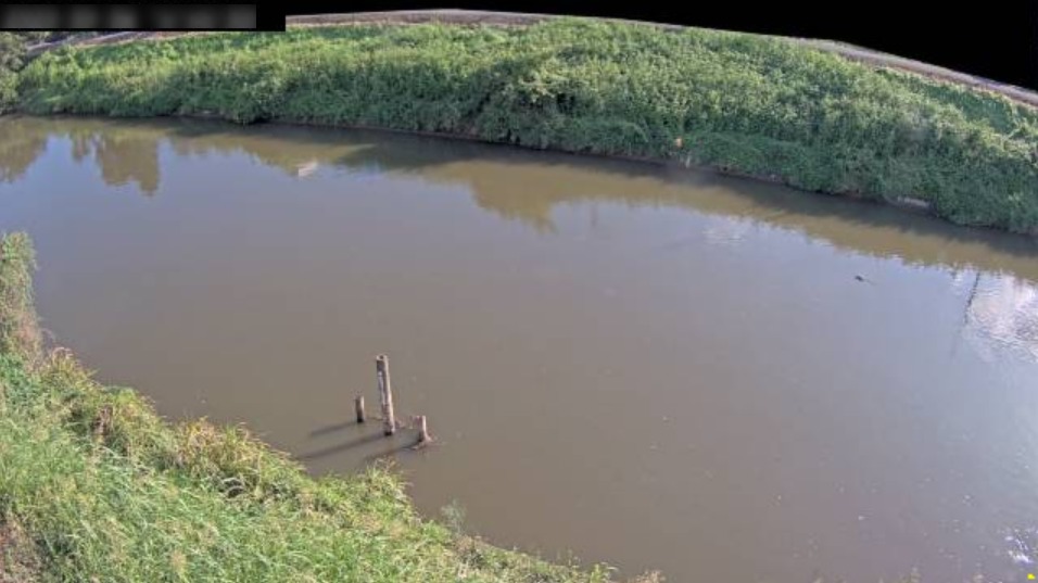 中川倉田観測局ライブカメラ(埼玉県春日部市赤崎)