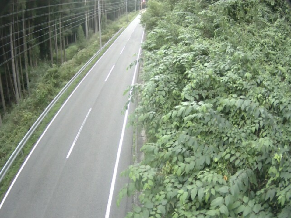 国道256号八幡町入間郡上方面ライブカメラ(岐阜県郡上市八幡町入間)