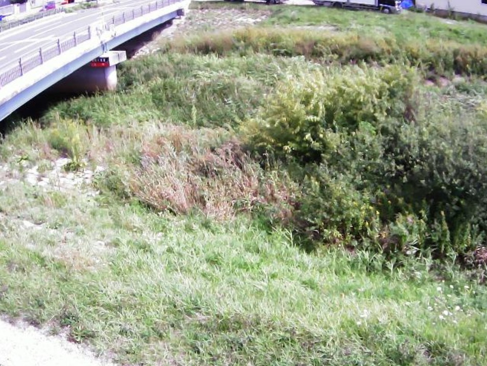 篠路新川4.2KPライブカメラ(北海道札幌市東区)