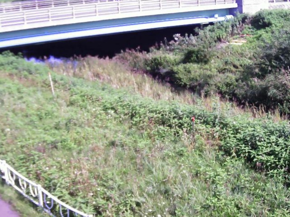 月寒川4.3KPライブカメラ(北海道札幌市白石区)