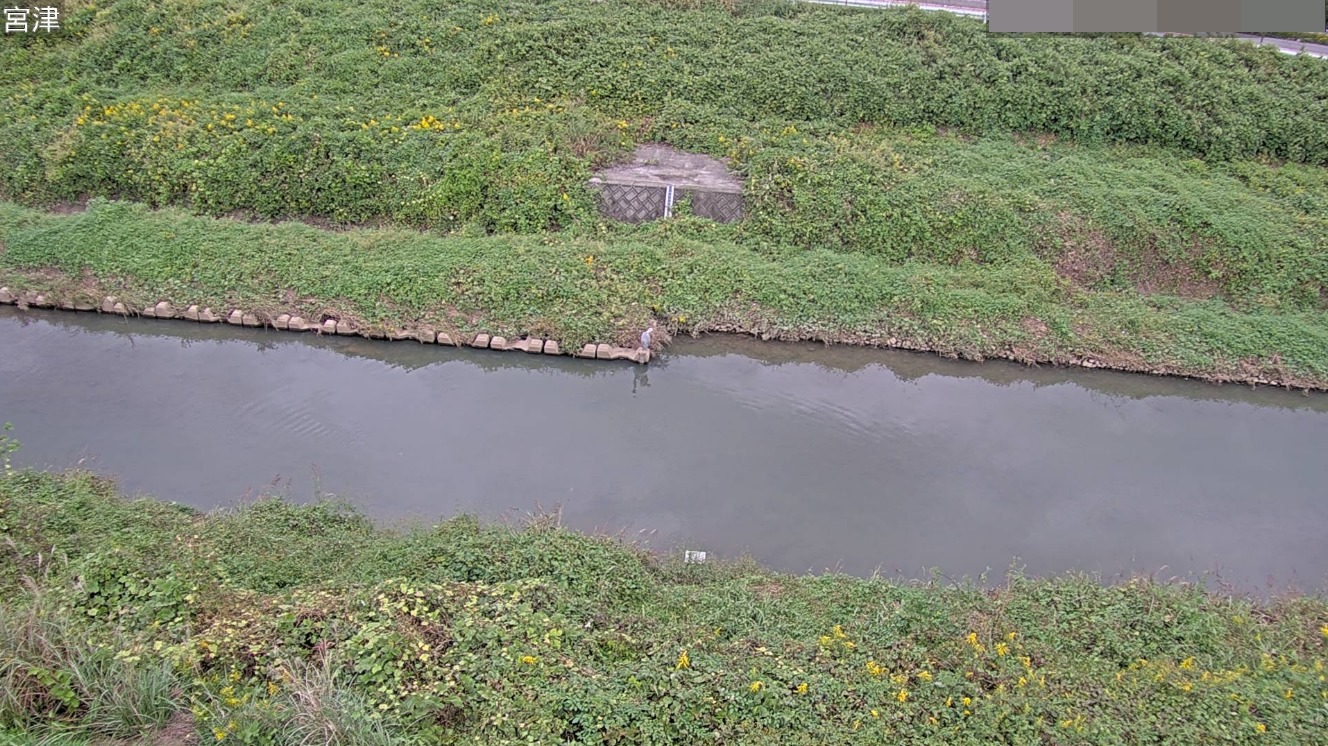 阿久比川宮津ライブカメラ(愛知県阿久比町椋岡)