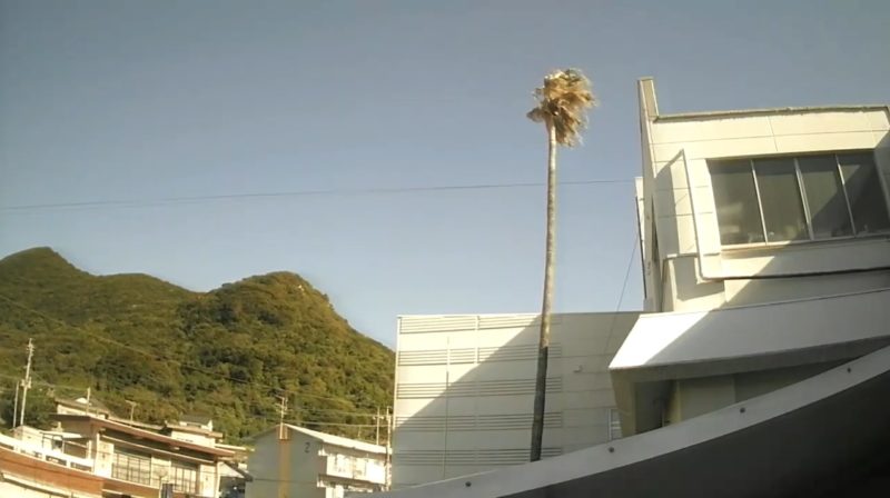 枕崎観光ホテル岩戸ヤシの木ライブカメラ(鹿児島県枕崎市岩戸町)