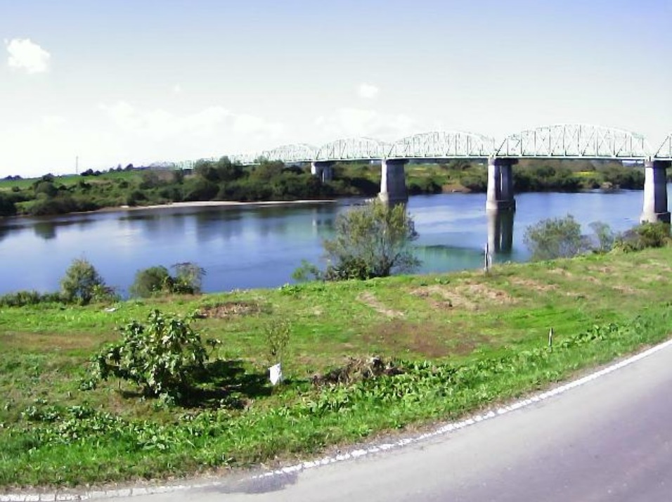 北上川下流43.6KP左岸ライブカメラ(宮城県登米市東和町錦織)