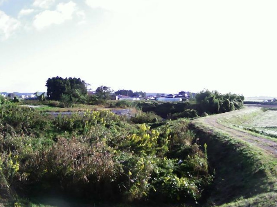 吉田川31.5KP右岸ライブカメラ(宮城県富谷市志戸田)