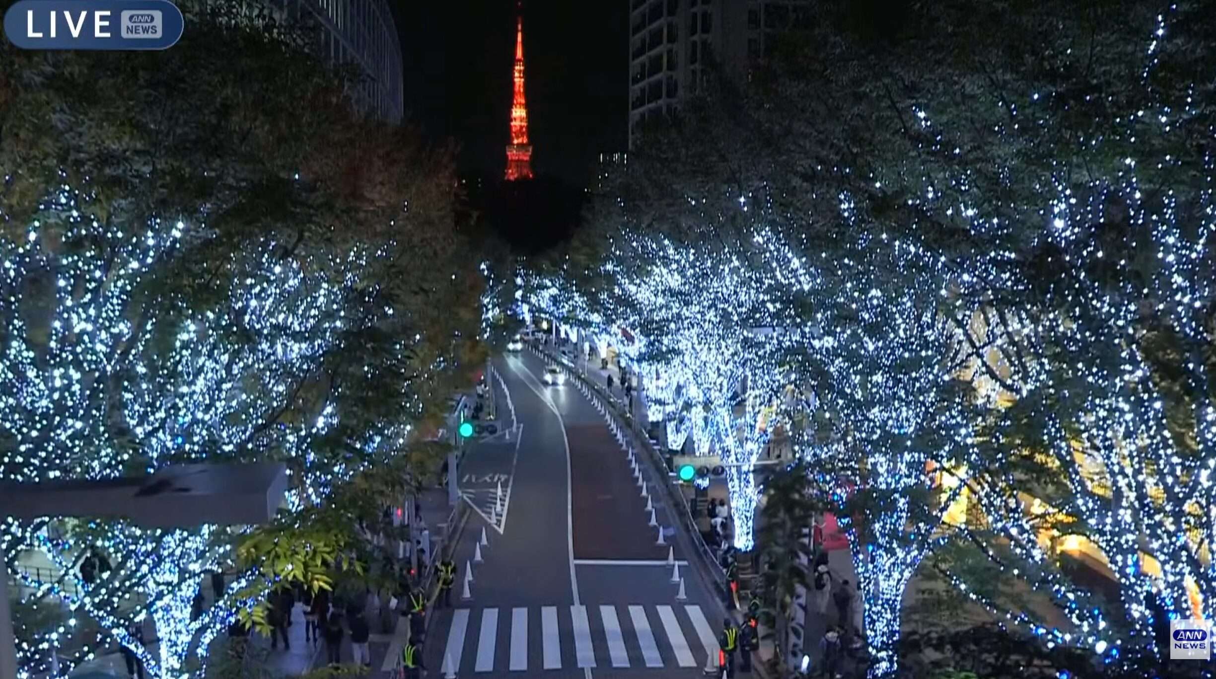 六本木ヒルズけやき坂イルミネーションライブカメラ(東京都港区六本木)