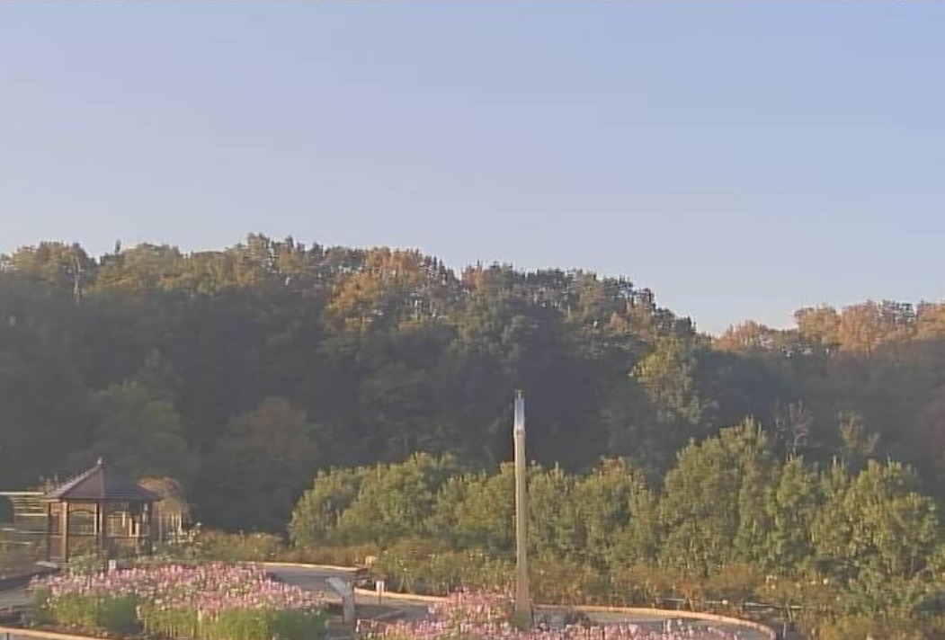 CTK花フェスタ記念公園世界のバラ園ライブカメラ(岐阜県可児市瀬田)