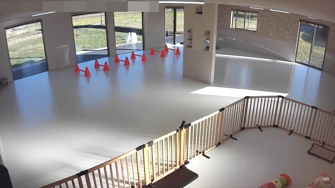 リライスト室内ドッグランライブカメラ(山口県防府市江泊)