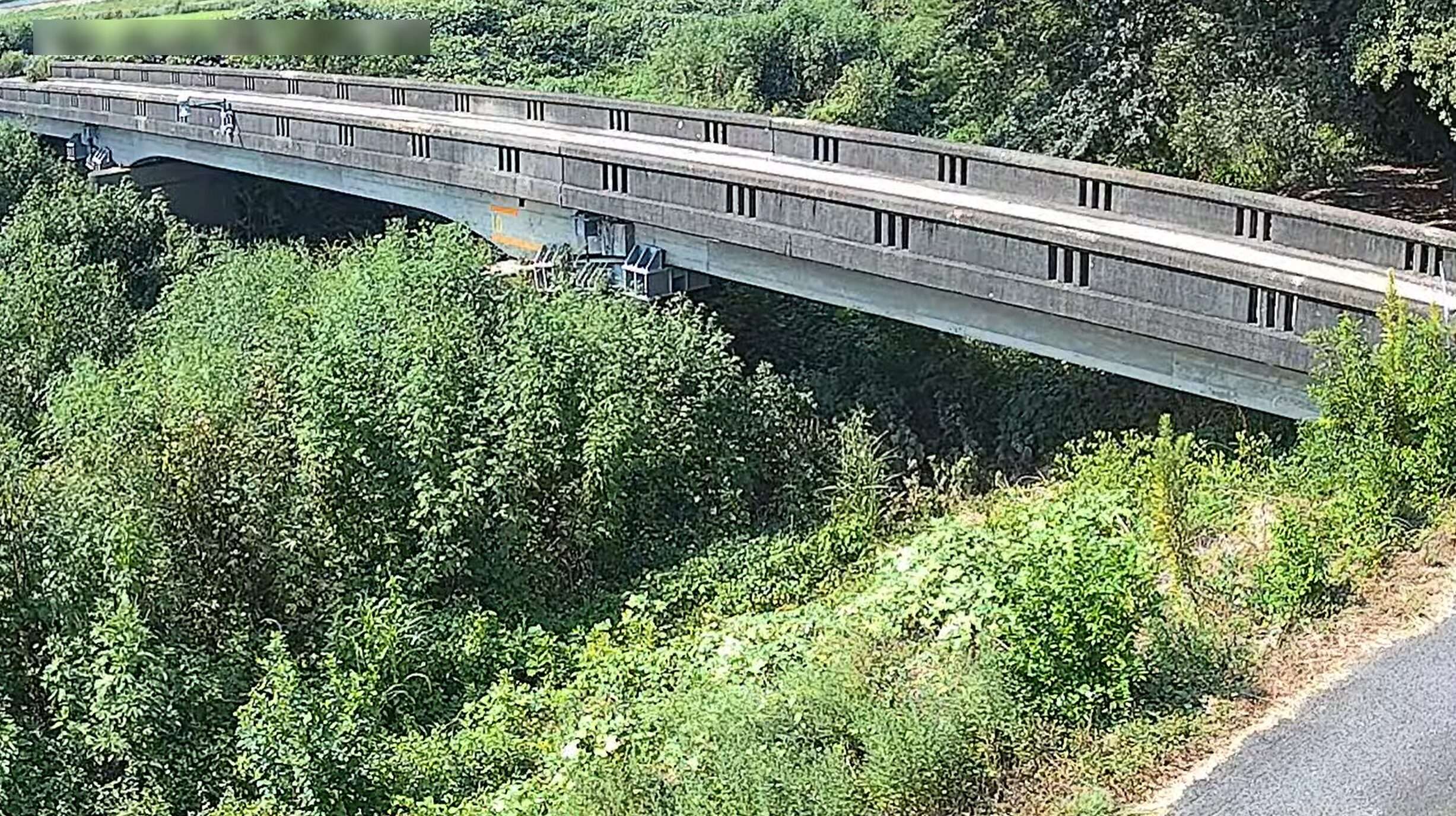 広田川観音橋ライブカメラ(愛知県幸田町菱池)