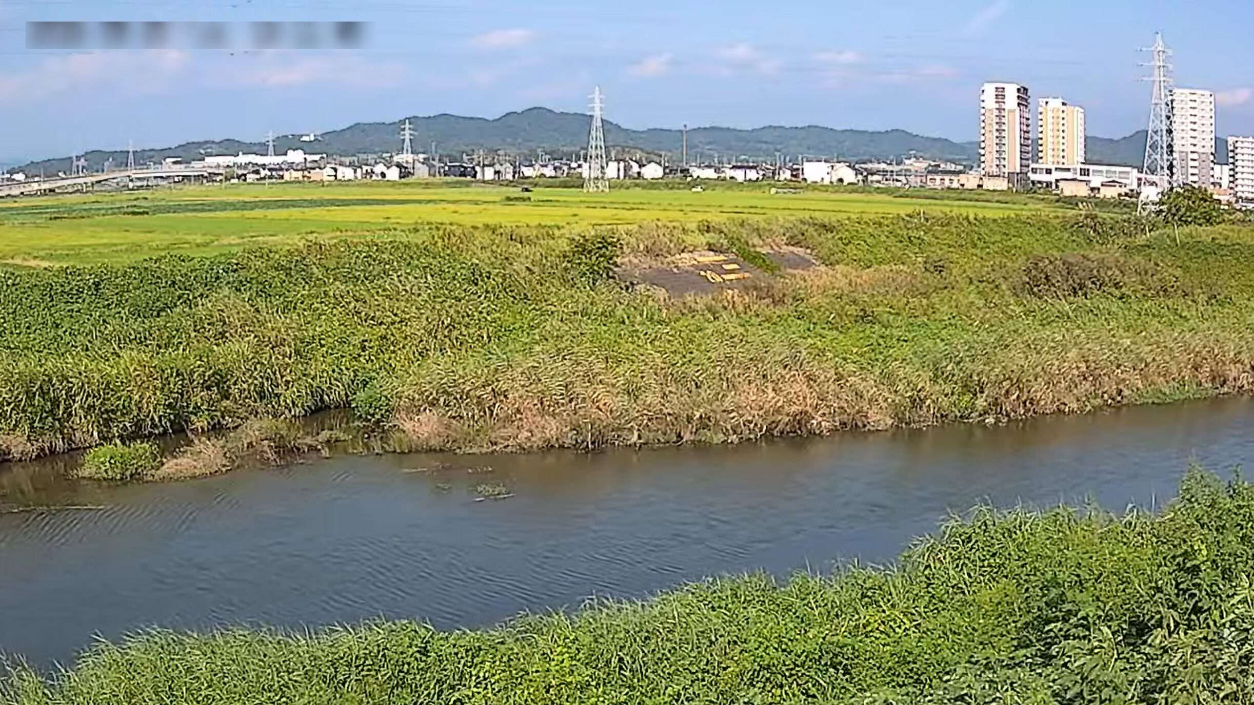 広田川柳川合流点ライブカメラ(愛知県幸田町菱池)