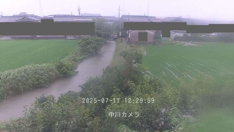 中川小柿ライブカメラ(岐阜県本巣市小柿) 2025年7月17日 12:29 氾濫危険水位