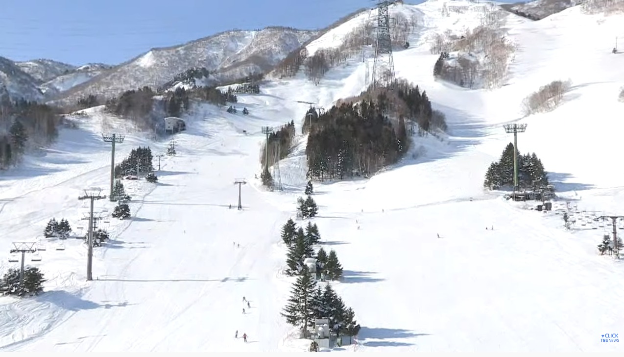 TBS苗場スキー場ライブカメラ(新潟県湯沢町三国)