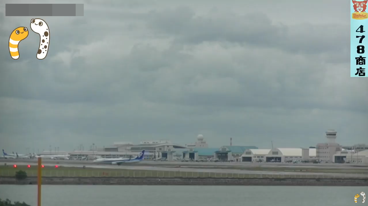 ちんあな那覇空港那覇基地旧滑走路ライブカメラ(沖縄県豊見城市瀬長)
