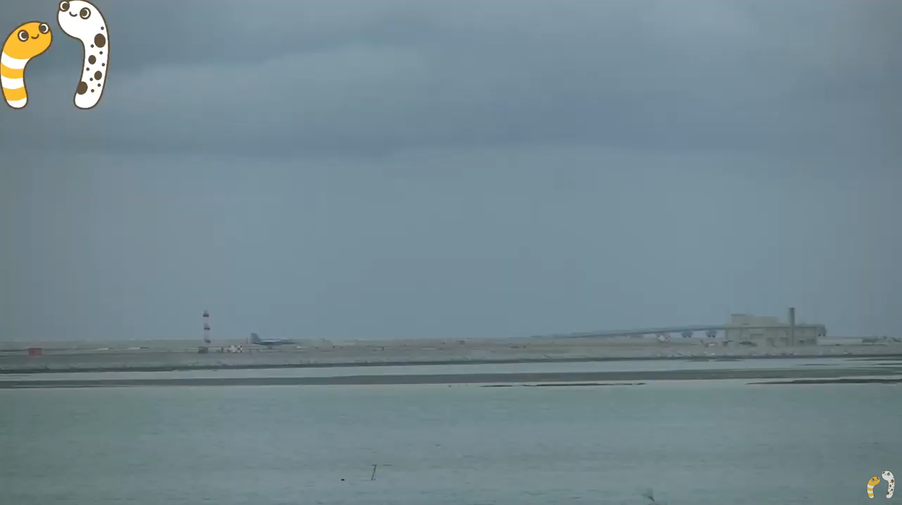 ちんあな那覇空港那覇基地新滑走路ライブカメラ(沖縄県豊見城市瀬長)